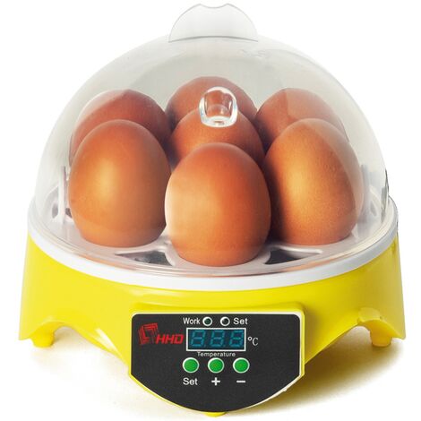 Size : 36 Eggs Contr Température Automatique avec Éclairage LED Couveuse Puissance 80W pour Oeufs Volaille Et Oiseaux Poulet Canard LBBL Incubateur Oeufs 